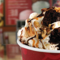 ice cream franchises