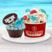 ice cream business opportunities